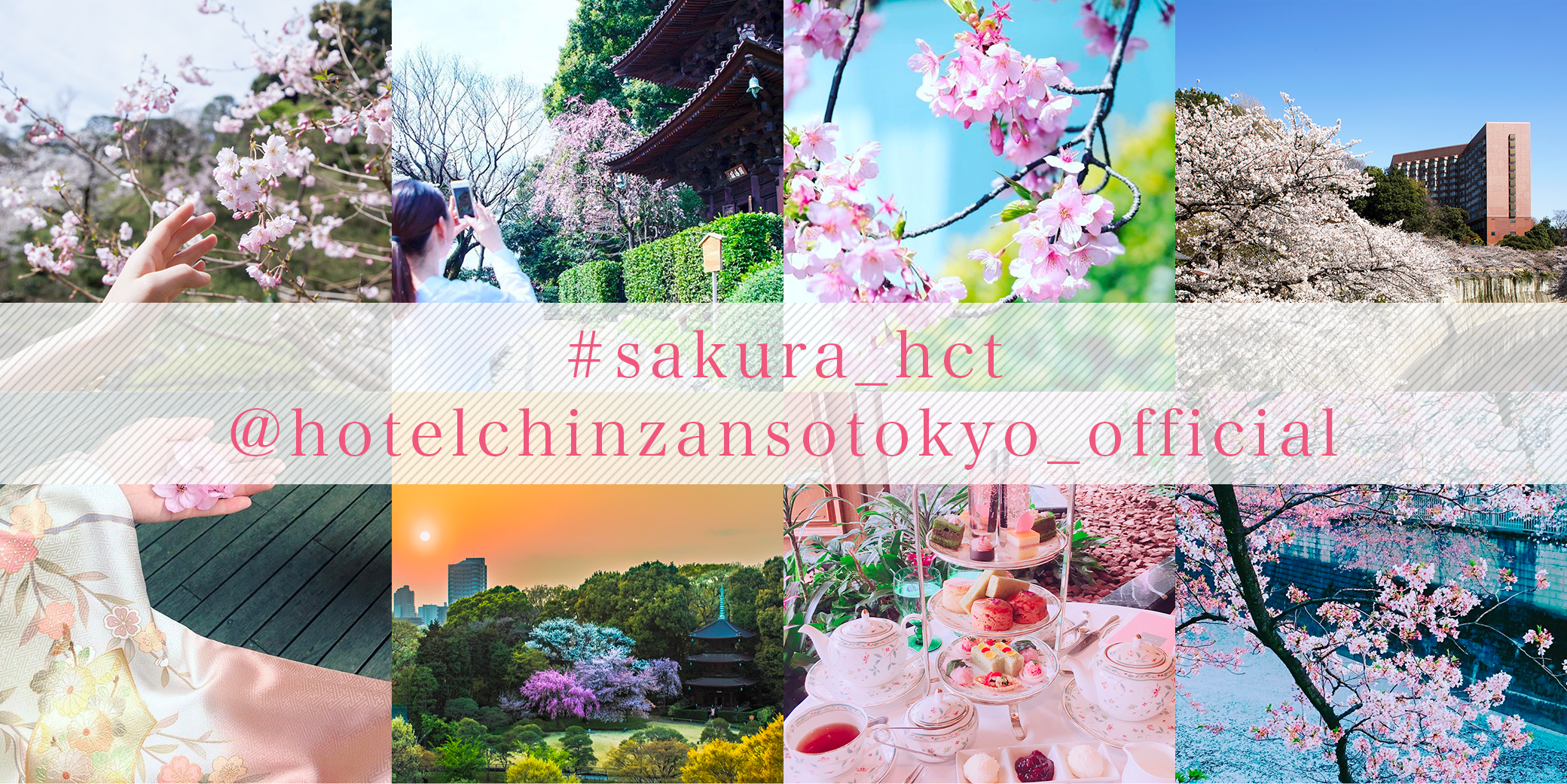 #sakura_htc @hotelchinzansotokyo_official